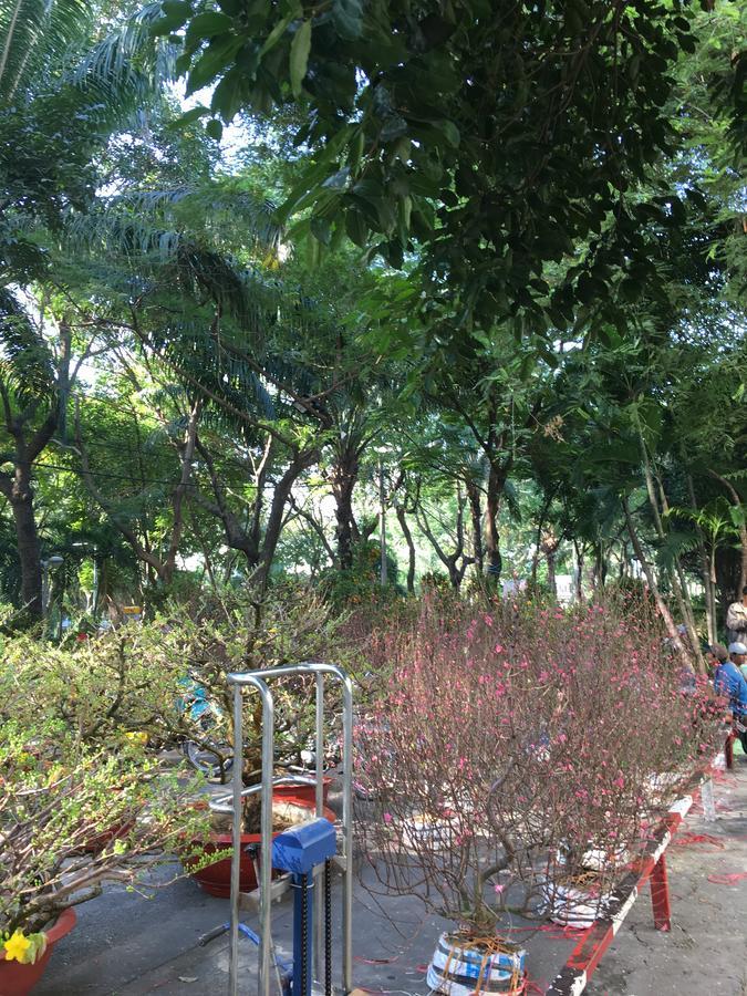Istay Inn Hotel โฮจิมินห์ซิตี้ ภายนอก รูปภาพ